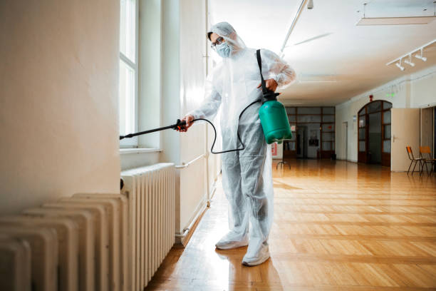 Indoor Pest Control in Southchase, FL